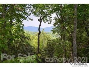 936 Mills River Way