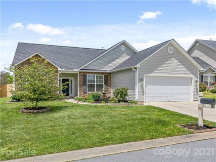 31 Alligator Drive