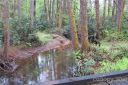 L46 Stones Lake Road sold home in Cedar Mountain, SC