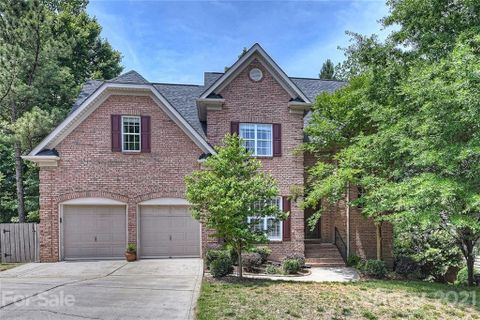 13934 Ballantyne Meadows Drive