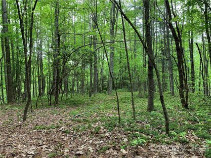 Lot 213 Walnut Ridge Road