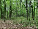 Lot 213 Walnut Ridge Road sold home in Brevard, SC
