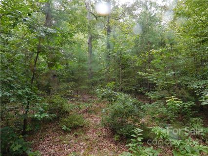00 Maple Spring Court Lot#16