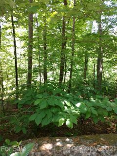 000 Rocky Mountain Drive 7/8 sold home in Cedar Creek Mountain, Lake Lure, NC