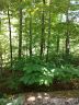 000 Rocky Mountain Drive 7/8 sold home in Lake Lure, SC