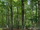 205 River Club Trail 9 sold home in Marshall, SC