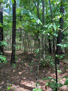 0 Landon Avenue 5 sold home in Lake Acres, Hickory, NC