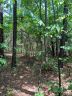 0 Landon Avenue 5 sold home in Hickory, SC