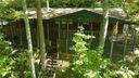 31 Serendipity Trail sold home in Maggie Valley, SC