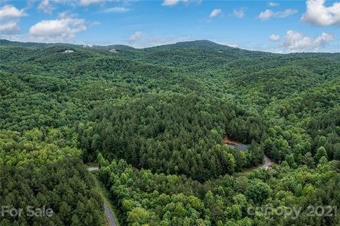 3917 Big Creek Road 24