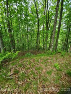 141 River Club Trail active home in French Broad Crossing, Marshall, NC