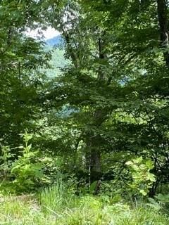 Lot 19 Flowing Hills Drive sold home in Winfield Estates, Clyde, NC