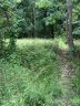 475 Museum Road sold home in Rock Hill, SC