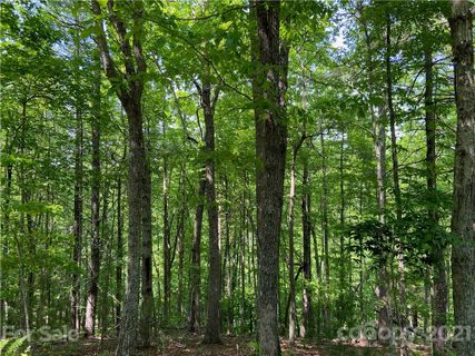 71 Turkey Trot Trail 16