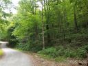 Lot 341 Melrose Mountain Road sold home in Tryon, SC