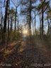 Lot 2a Dogwood Circle sold home in Penrose, SC