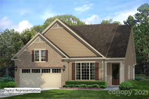 12525 Old Iron Lane