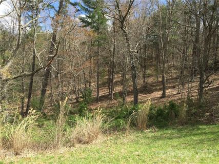 Lot 16 Cove Creek Lane