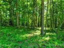 47 Trail Top Drive 52 sold home in Asheville, SC