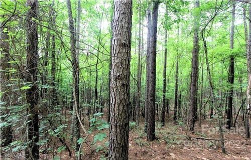 0 Chasewood Drive active home in Deer Run At Lake Lure, Rutherfordton, NC