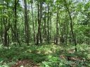 Lot 24 Miller Mountain Road sold home in Saluda, SC