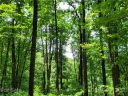 Track 2 Miller Mountain Road sold home in Saluda, SC