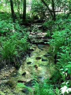 Tbd Breckenridge Trail sold home in Whiskey Creek, Brevard, NC