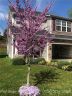 101 Ledbetter Road sold home in Arden, SC