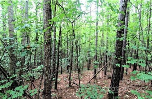 0 Chasewood Drive active home in Deer Run At Lake Lure, Rutherfordton, NC