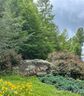 000 Serenity Trail 99 sold home in Rosman, SC