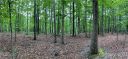 75 Wild Turkey Loop 31 sold home in Marshall, SC