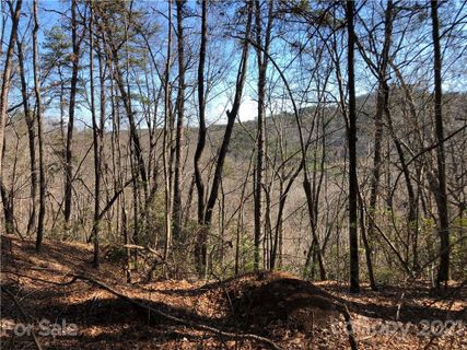 Lt 39 40 Justice Drive 39 & 40 sold home in Richard D Justice, Lake Lure, NC