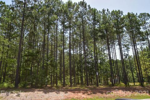 117 Trent Pines Drive