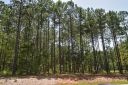 117 Trent Pines Drive sold home in Mooresville, SC