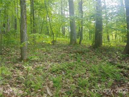 31 Sleigh Bell Trail Lot 31