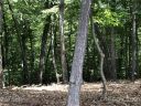 39 Windcliff Drive 93 sold home in Asheville, SC