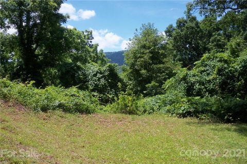 Lot 20 Tanner Trail