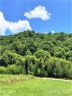 Lot 3 Water Wheel Cove sold home in Clyde, SC