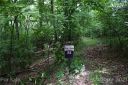 000 Zurich Road 52 sold home in Spruce Pine, SC