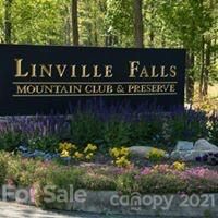 V L 4 Blue Ridge Drive