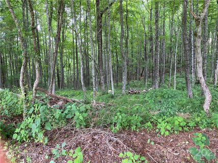 000 Overlook Drive 44,45 sold home in Spruce Pine Heights, Spruce Pine, NC