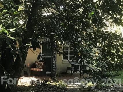 5 Pine Tree Road