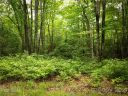 Tbd Opossum Path sold home in Brevard, SC