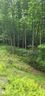 9999 Whitetail Trail T133A sold home in Rosman, SC