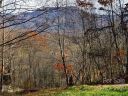 Lot 29 Falling Glen Drive sold home in Waynesville, SC