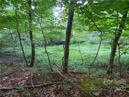 U 8 Blueberry Hill Road Unit 8