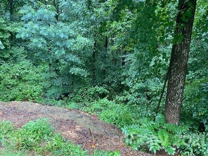 000 Robinhood Loop 18 sold home in Sherwood Forest, Statesville, NC