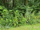000 Robinhood Loop 16,17 sold home in Statesville, SC