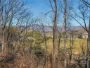 61 Bradford Vista sold home in Fletcher, SC