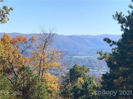 Lot 25 Elk Mountain Trail M25
